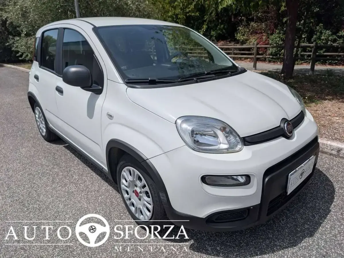 Usata Fiat Panda 69 CV (50 kW) 2023 Bianco Utilitaria