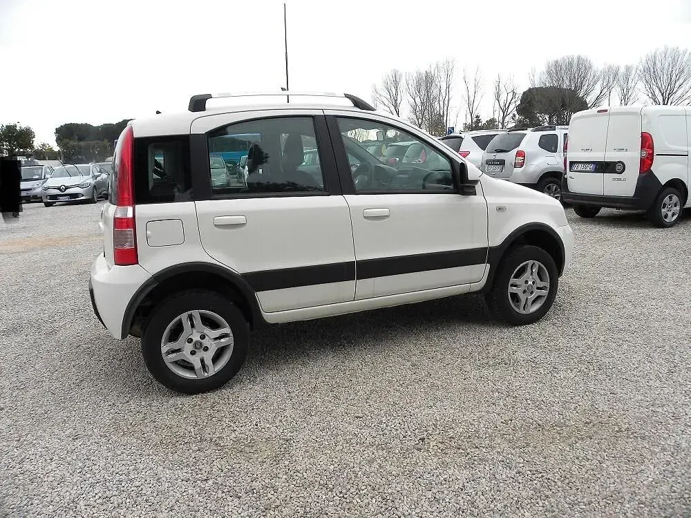 Usata Fiat Panda 4x4 Climbing 75 CV (55 kW) 2012 Bianco Utilitaria