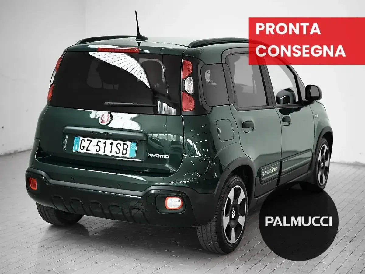 Usata Fiat Panda Cross Cross 70 CV (51 kW) 2025 Verde Utilitaria