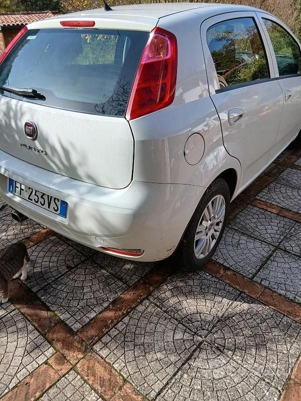 Usata Fiat Punto 2017 Utilitaria