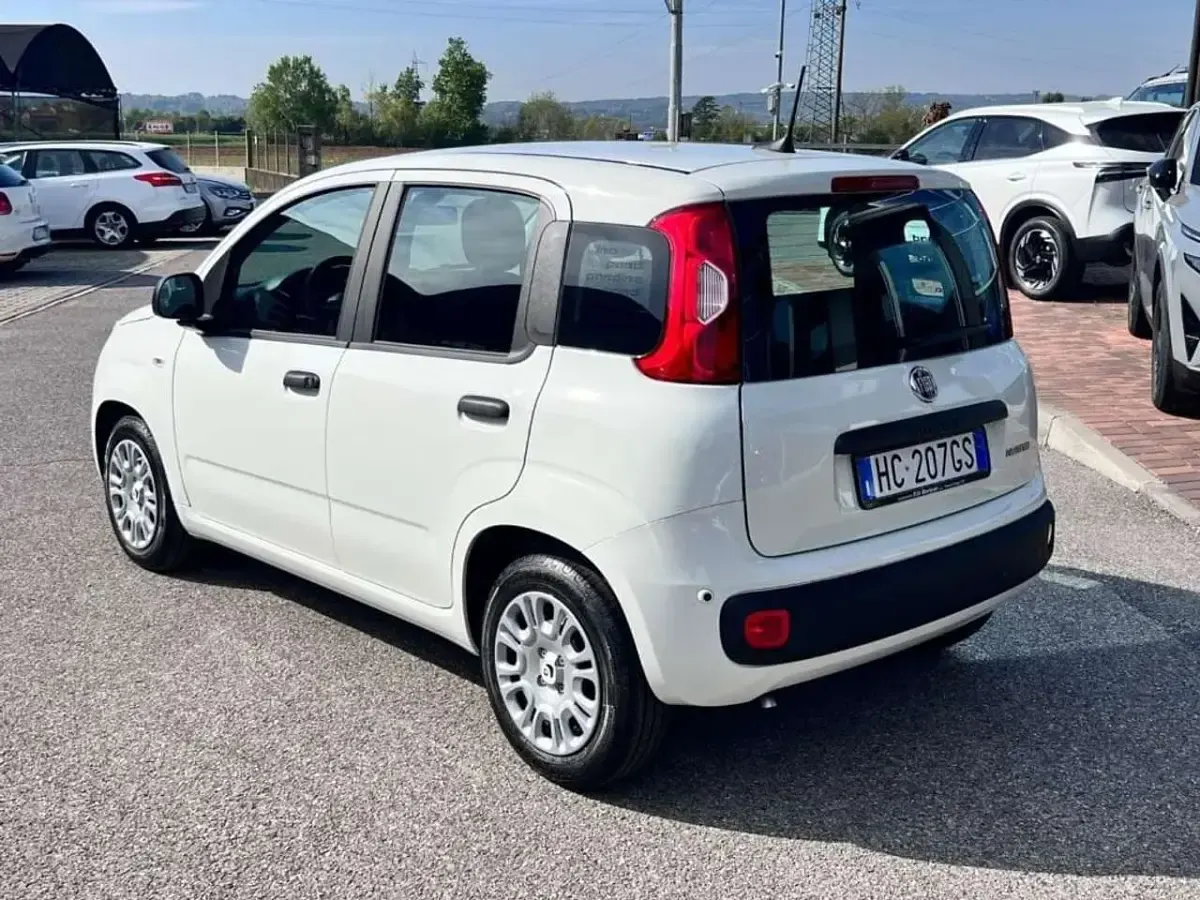 Nuova Fiat Panda Icon 69 CV (50 kW) 2026 Bianco Utilitaria