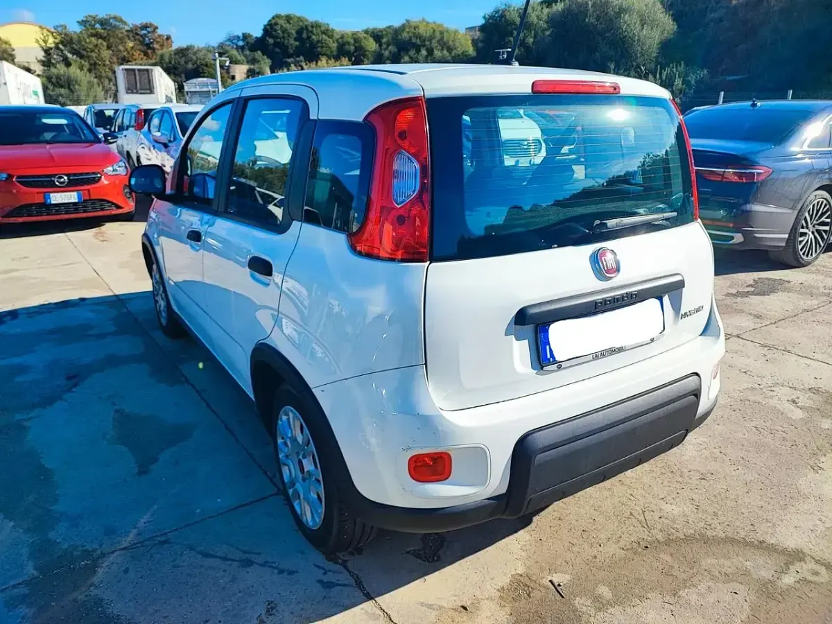 Usata Fiat Panda S 69 CV (50 kW) 2023 Bianco Utilitaria
