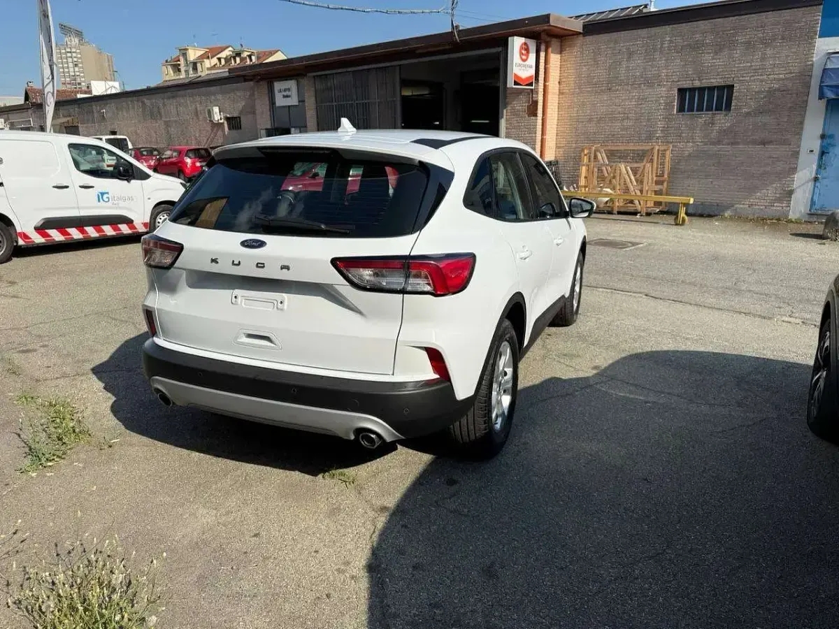 Usata Ford Kuga Business Edition 120 CV (88 kW) 2021 Other SUV