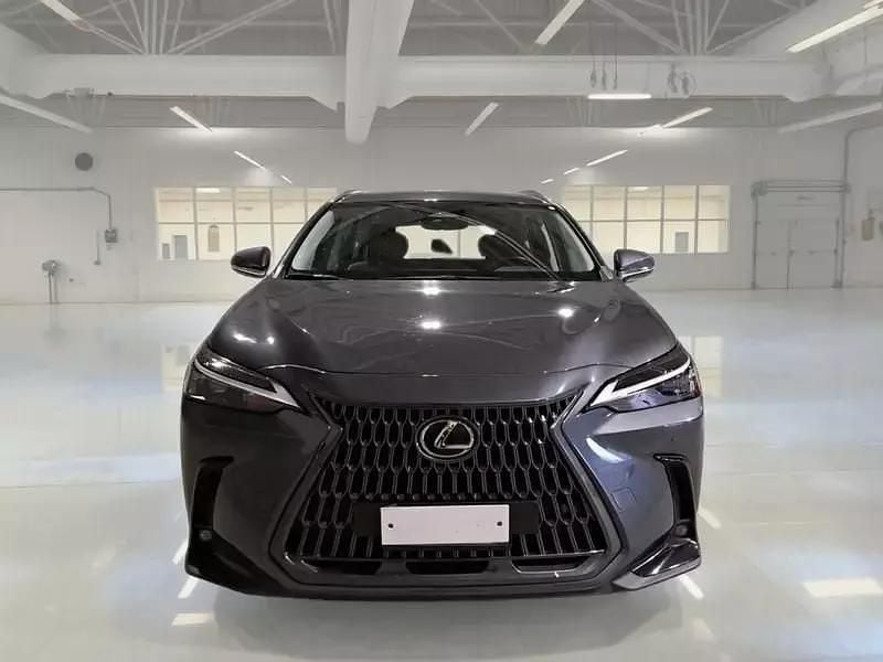 Usata Lexus NX350h Business Edition 190 CV (139 kW) 2022 SUV