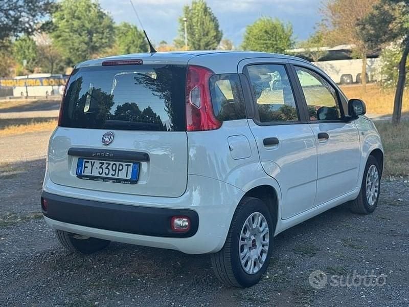 Usata Fiat Panda Easy 69 CV (50 kW) 2019 Bianco Utilitaria