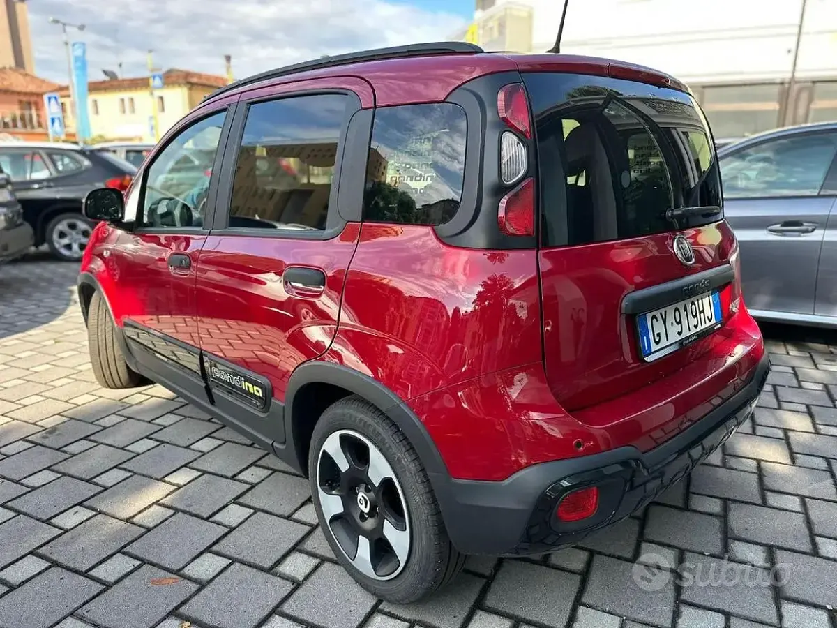 Usata Fiat Panda Cross Cross 69 CV (50 kW) 2025 Rosso Utilitaria