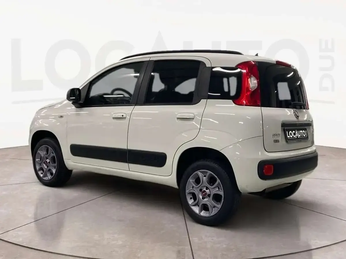 Usata Fiat Panda 4x4 Pop 75 CV (55 kW) 2015 Bianco Utilitaria