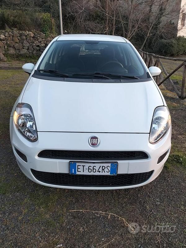 Usata Fiat Punto 75 CV (55 kW) 2014 Bianco Utilitaria