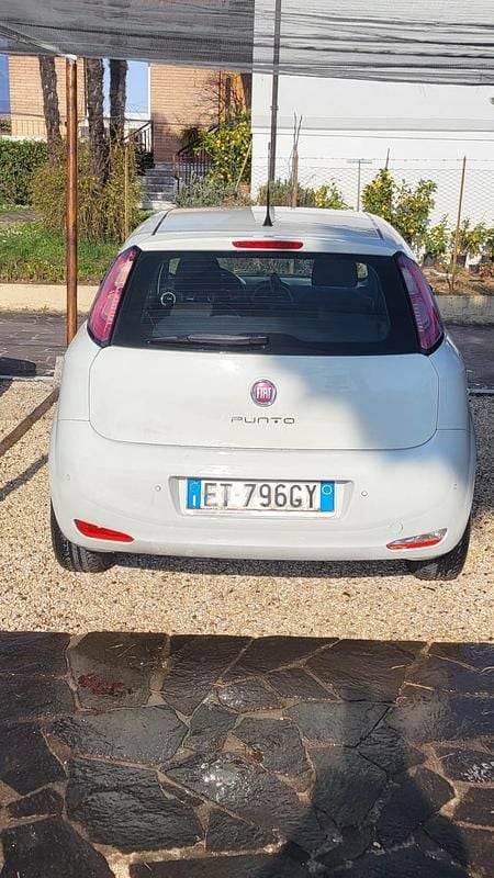 Usata Fiat Punto Lounge 75 CV (55 kW) 2013 Bianco Utilitaria