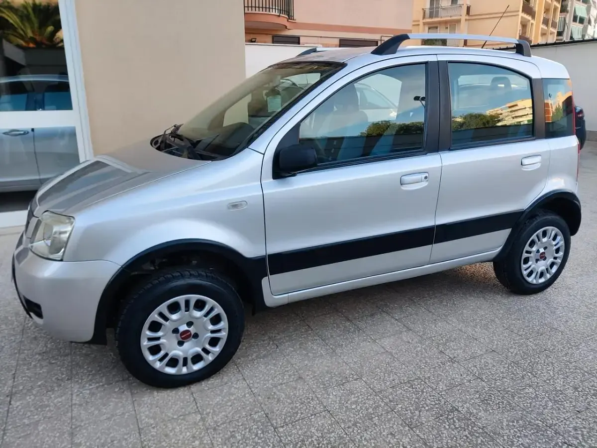 Usata Fiat Panda 4x4 75 CV (55 kW) 2009 Grigio Utilitaria