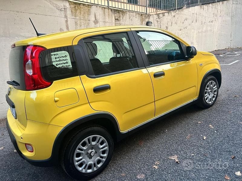 Usata Fiat Panda 2024 Giallo Berlina