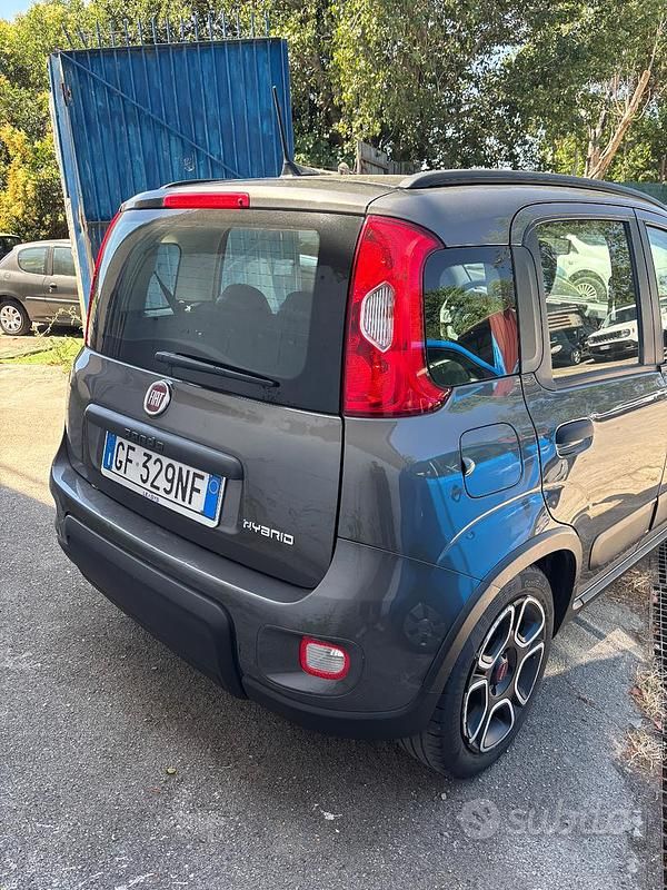 Usata Fiat Panda 70 CV (51 kW) 2021 Grigio Utilitaria