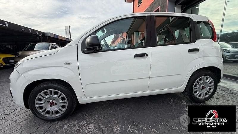 Usata Fiat Panda Easy 69 CV (50 kW) 2015 Bianco Berlina