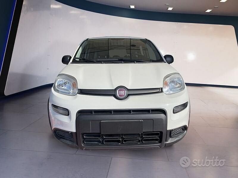 Usata Fiat Panda S 70 CV (51 kW) 2023 Bianco Utilitaria