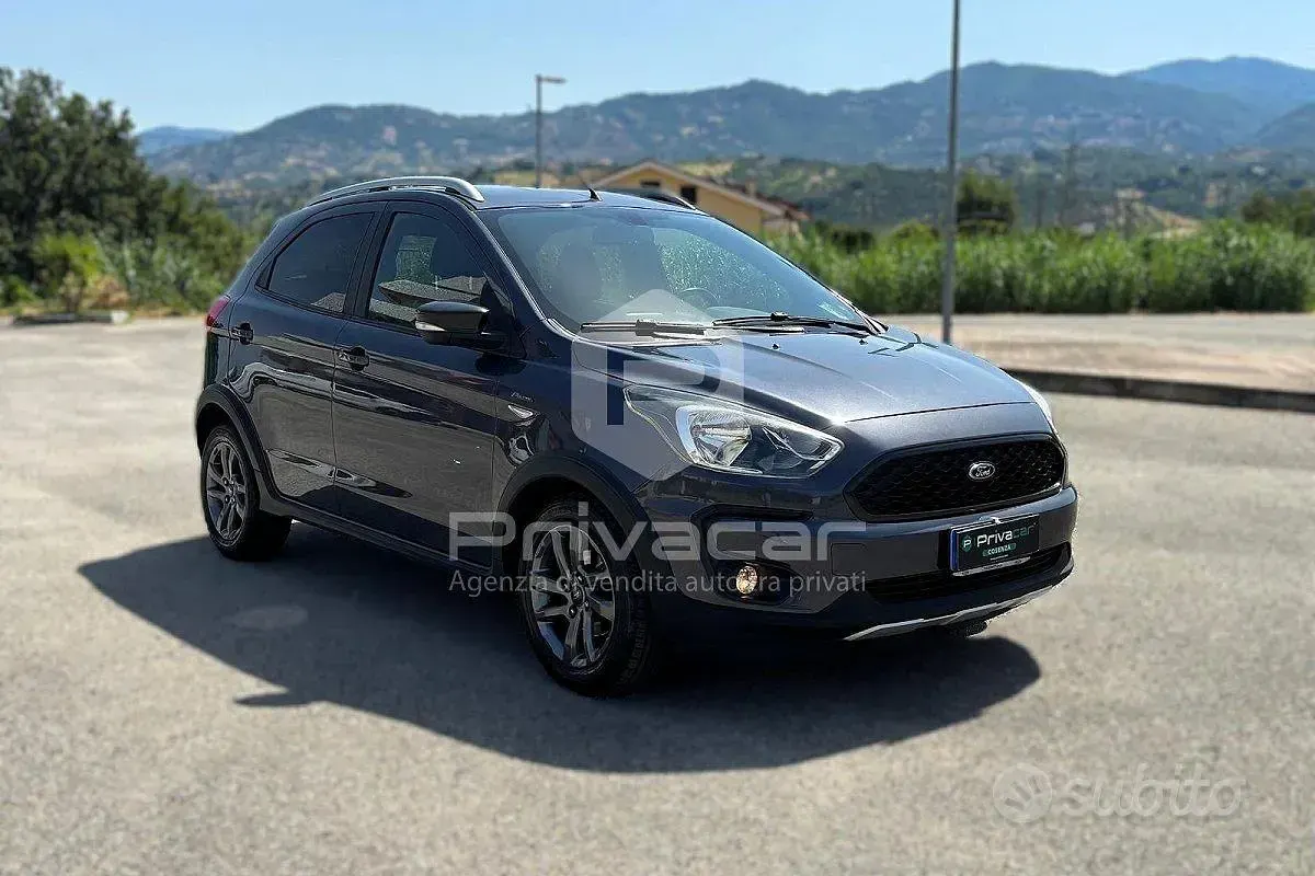 Usata Ford Ka Plus Active 86 CV (63 kW) 2019 Grigio Utilitaria