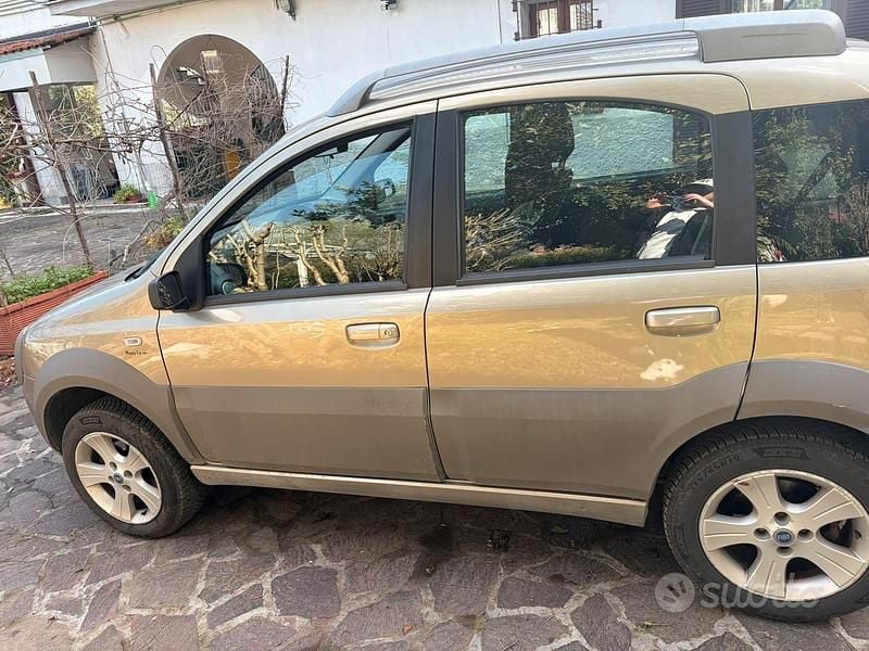 Usata Fiat Panda 4x4 Cross 95 CV (69 kW) 2007 Marrone Utilitaria