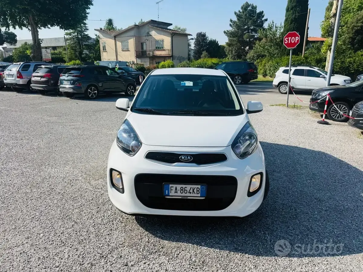 Usata Kia Picanto City 66 CV (48 kW) 2015 Bianco Utilitaria