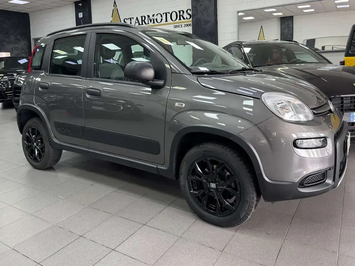 Usata Fiat Panda 4x4 Wild 84 CV (61 kW) 2022 Grigio pastello Utilitaria