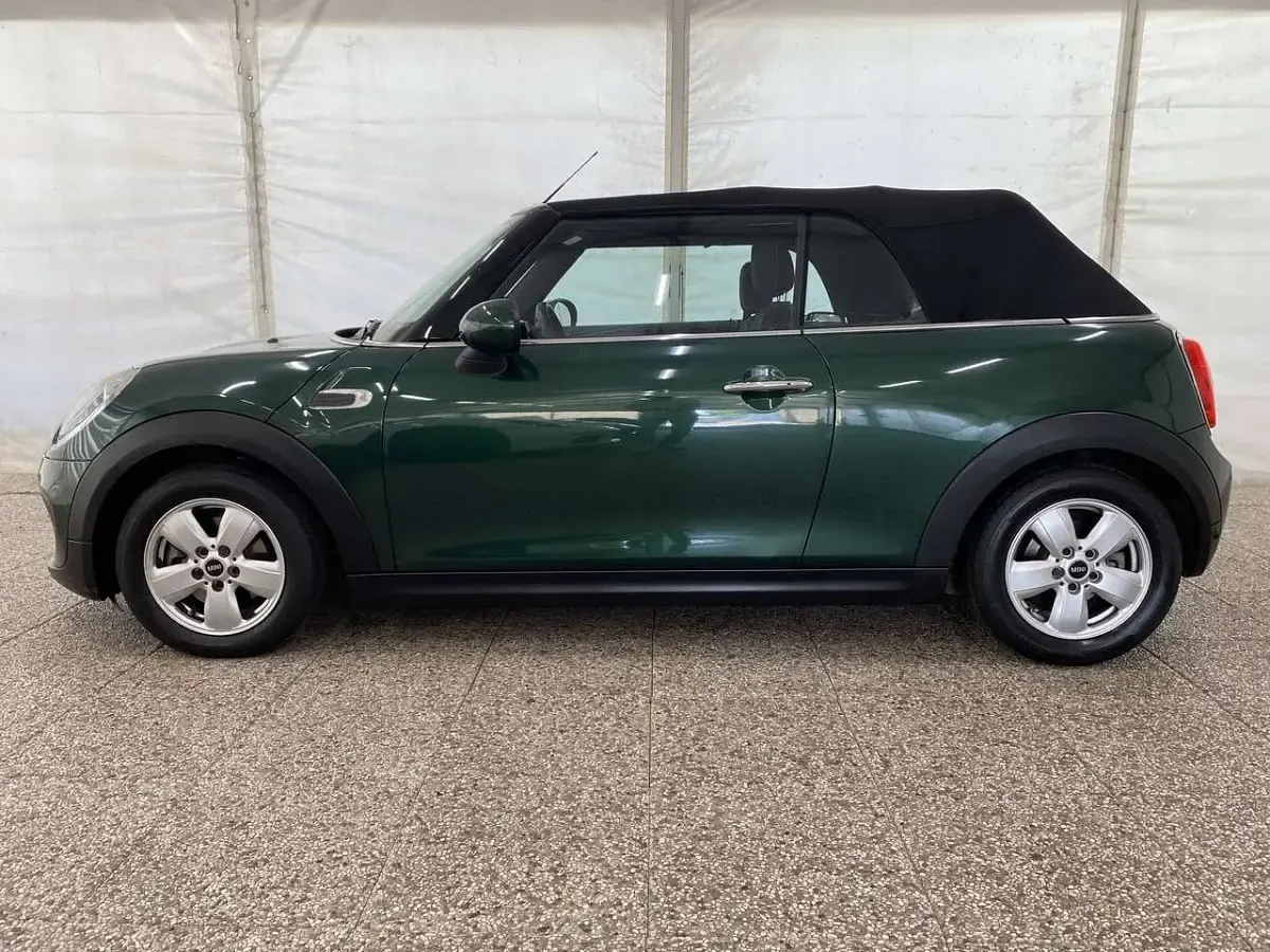 Usata Mini One Cabriolet 102 CV (75 kW) 2017 Verde Cabrio