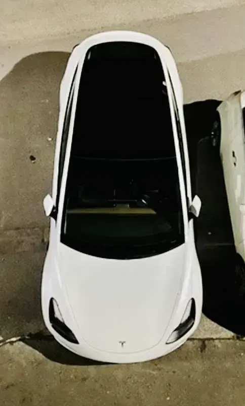 Usata Tesla Model 3 Standard Range Plus 88 kW (120 CV) 2021 Bianco Berlina