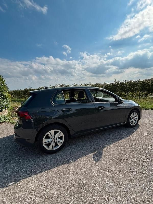 Usata VW Golf VIII 116 CV (85 kW) 2023 Grigio Berlina