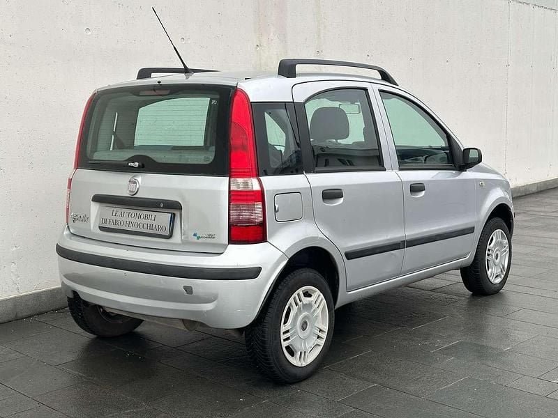 Usata Fiat Panda Cross 60 CV (44 kW) 2009 Argento Utilitaria