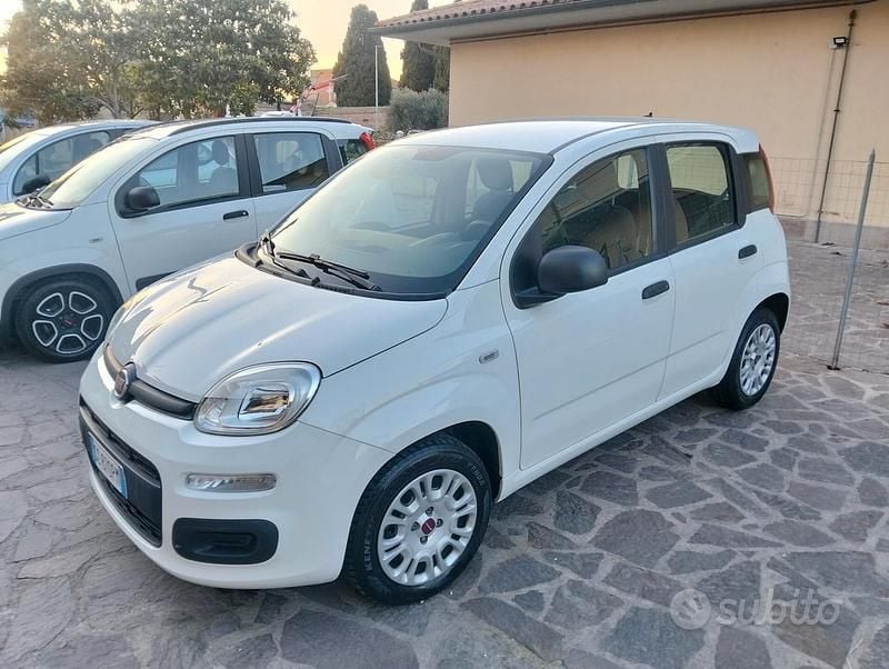 Usata Fiat Panda Easy 69 CV (50 kW) 2020 Bianco Utilitaria