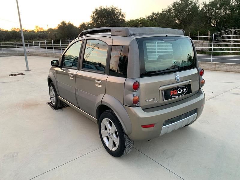 Usata Fiat Panda Cross Cross 75 CV (55 kW) 2006 Verde Utilitaria