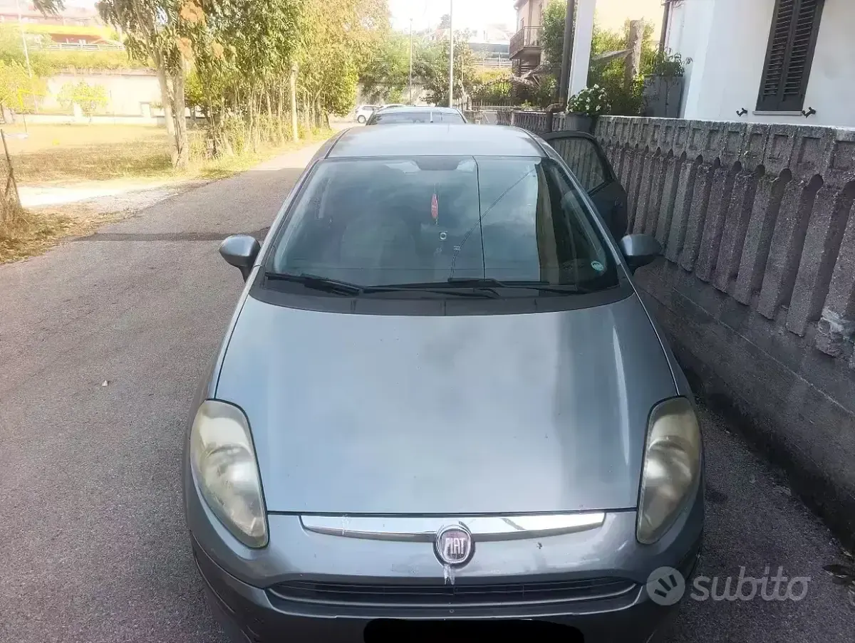 Usata Fiat Punto Evo 90 CV (66 kW) 2011 Grigio Utilitaria