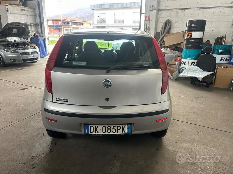 Usata Fiat Punto Active 60 CV (44 kW) 2009 Grigio Utilitaria