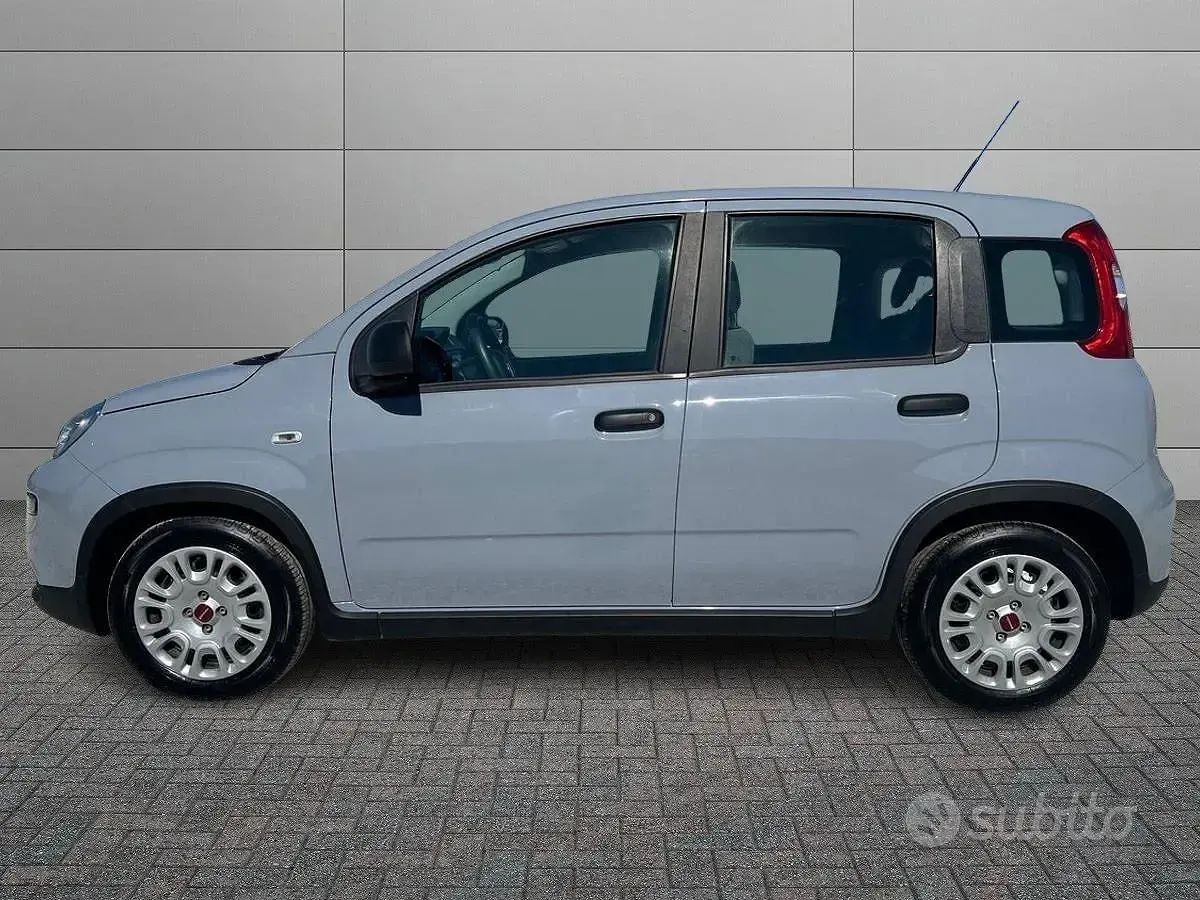 Usata Fiat Panda S 70 CV (51 kW) 2023 Grigio Utilitaria