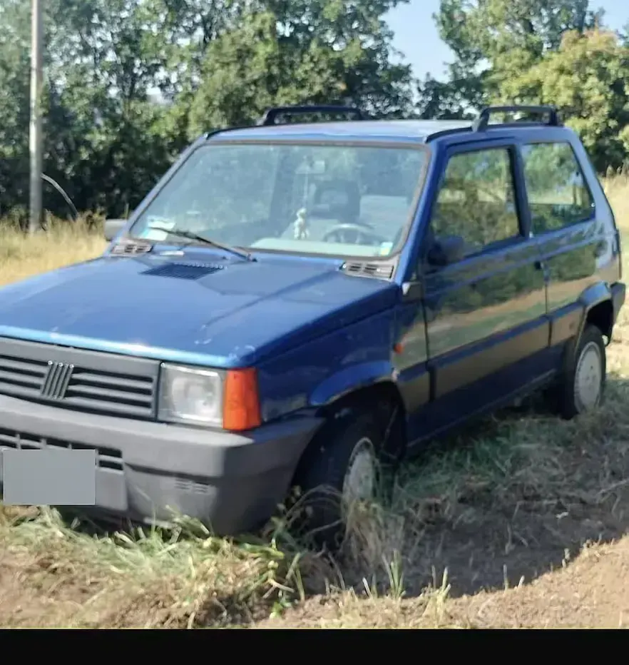 Usata Fiat Panda 54 CV (39 kW) 2002 Bluazzurro Berlina