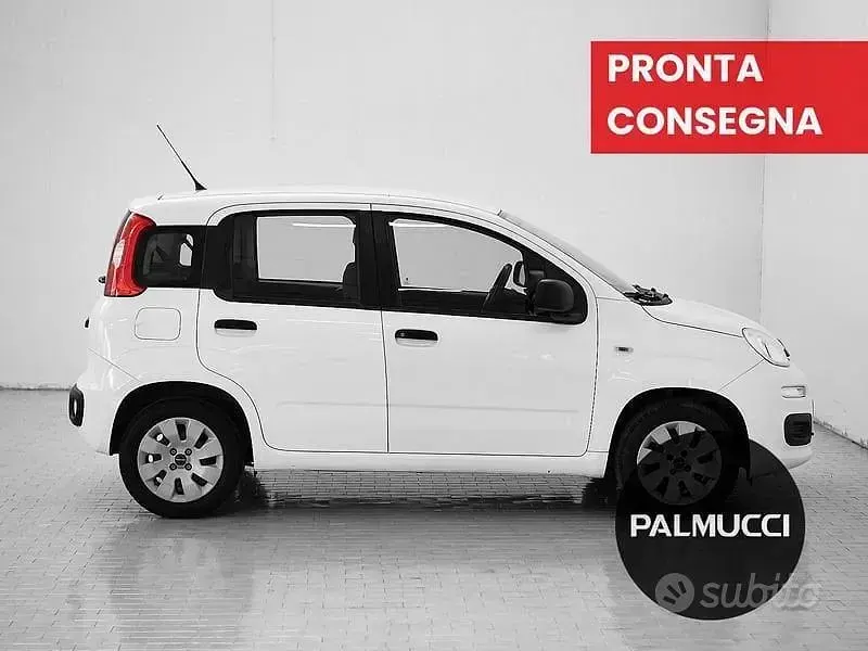 Usata Fiat Panda Easy 69 CV (50 kW) 2016 Bianco Utilitaria