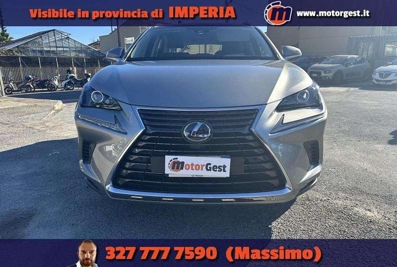 Usata Lexus NX300h Business Edition 155 CV (114 kW) 2020 Grigio SUV
