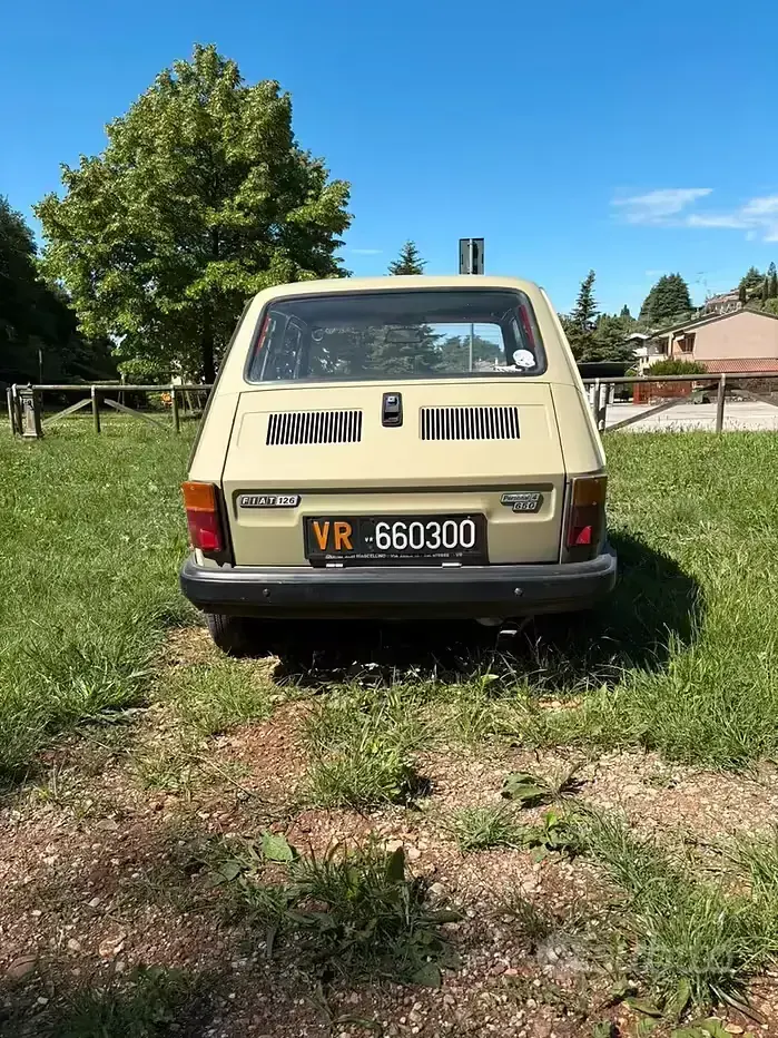 Usata Fiat 126 24 CV (17 kW) 1983 Verde Utilitaria