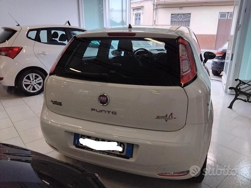 Usata Fiat Punto Lounge 69 CV (50 kW) 2013 Bianco Utilitaria