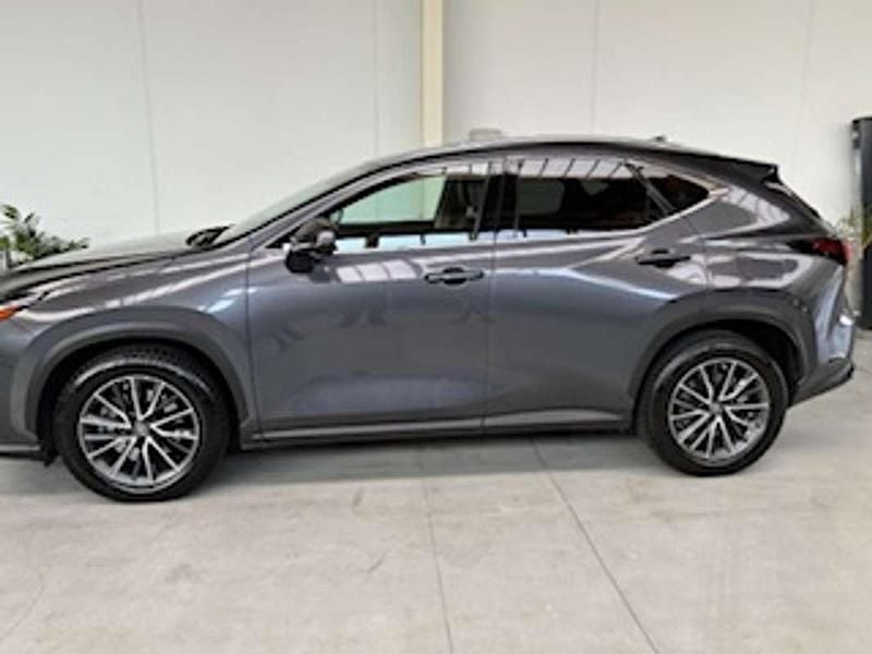 Usata Lexus NX450h+ 185 CV (136 kW) 2022 Grigio SUV