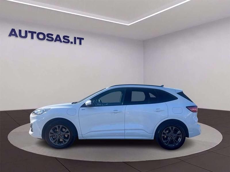 Usata Ford Kuga ST-Line X 224 CV (164 kW) 2024 Bianco metallizzato SUV