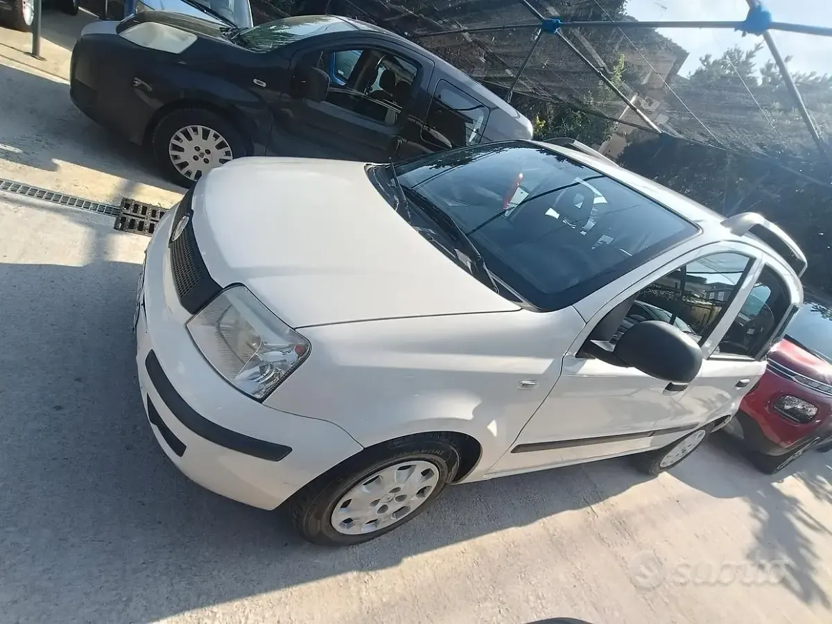 Usata Fiat Panda Dynamic 69 CV (50 kW) 2012 Bianco Utilitaria