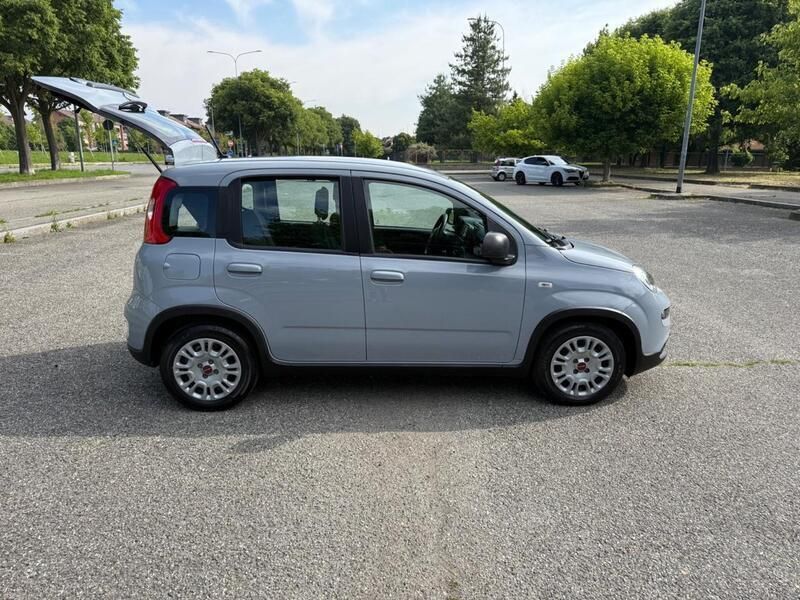 Usata Fiat Panda City Life 70 CV (51 kW) 2023 Grigio Utilitaria