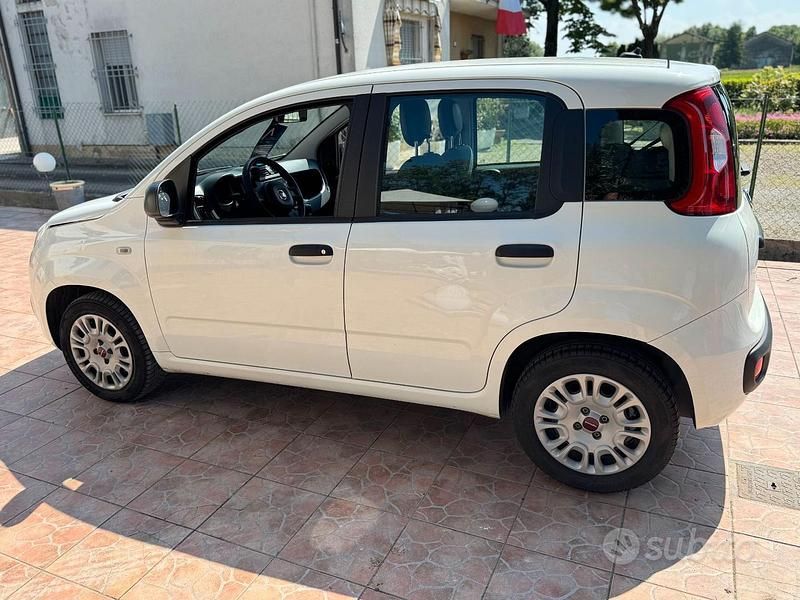 Usata Fiat Panda 69 CV (50 kW) 2021 Utilitaria