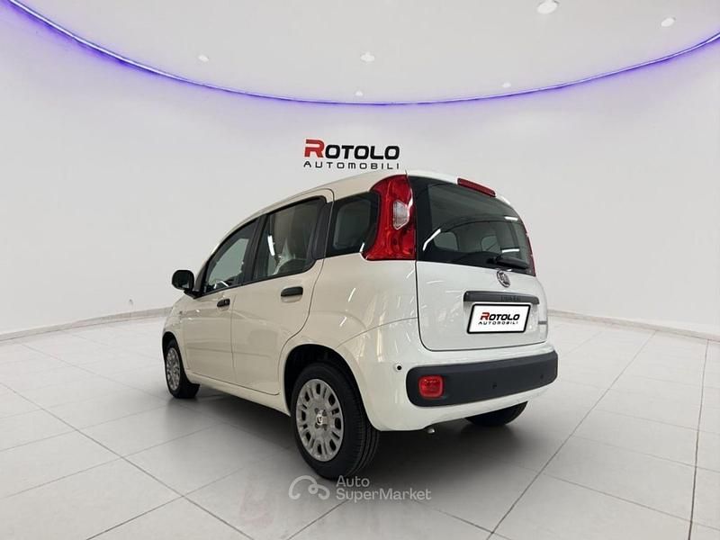 Nuova Fiat Panda Icon 69 CV (50 kW) 2025 Bianco Berlina