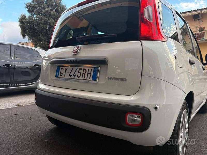 Nuova Fiat Panda S 69 CV (50 kW) 2025 Bianco Berlina