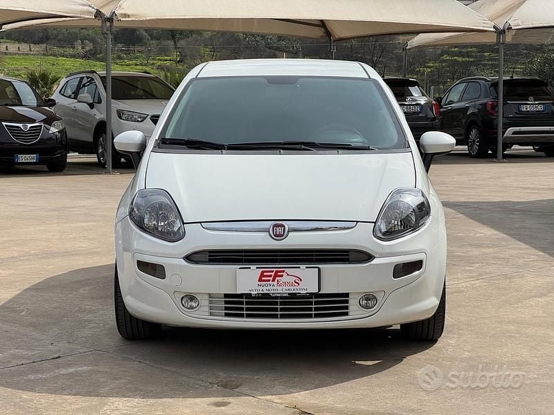 Usata Fiat Punto Lounge 75 CV (55 kW) 2015 Bianco Utilitaria