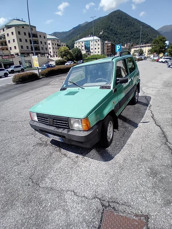 Usata Fiat Panda 4x4 50 CV (36 kW) 2002 Verde Utilitaria