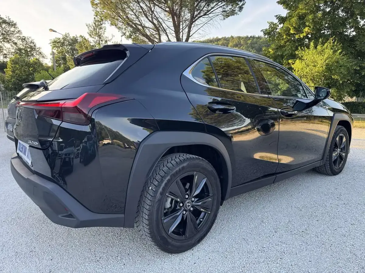 Usata Lexus UX 250h 152 CV (111 kW) 2024 Other SUV
