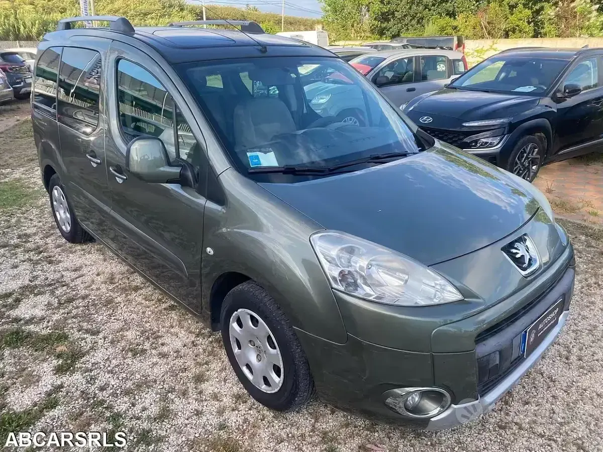 Usata Peugeot TePee Access 92 CV (67 kW) 2011 Verde Monovolume