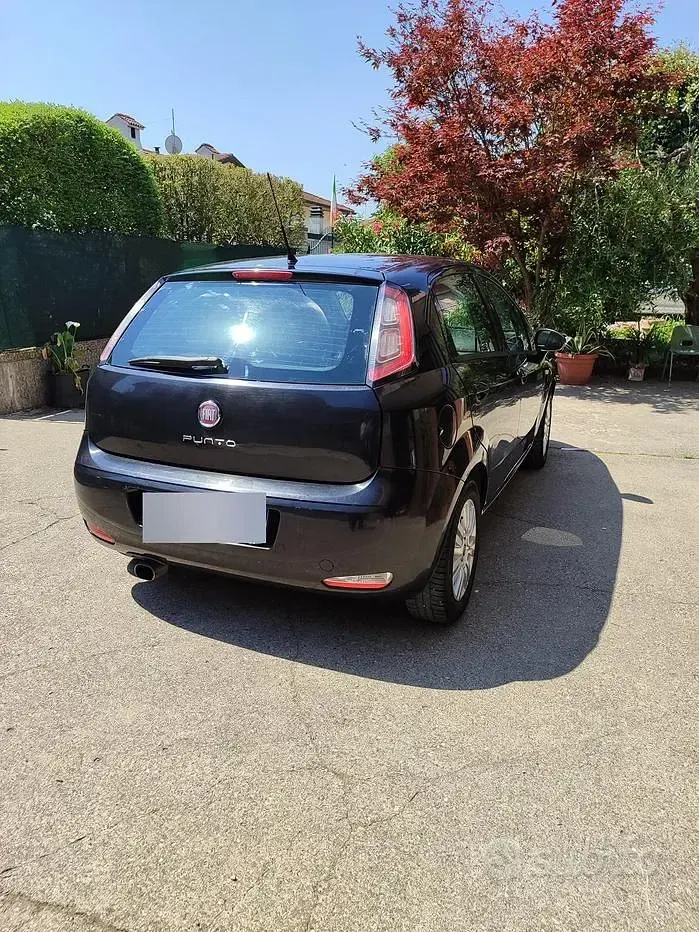 Usata Fiat Punto 65 CV (47 kW) 2014 Nero Utilitaria