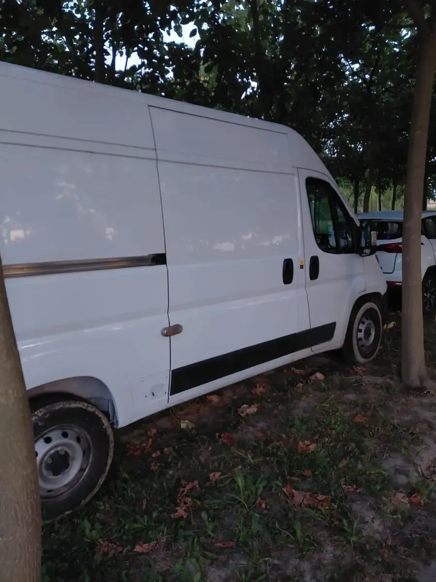 Usata Fiat Ducato 140 CV (102 kW) 2022 Bianco Furgone