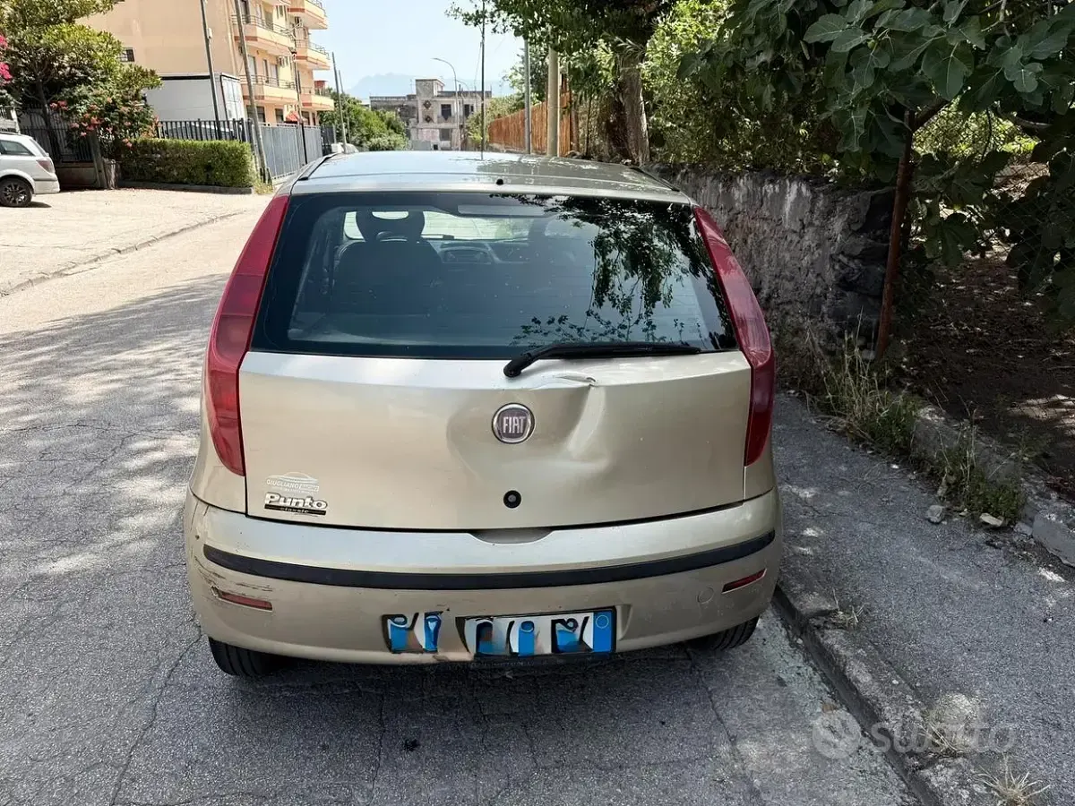 Usata Fiat Punto Active 80 CV (58 kW) 2010 Utilitaria